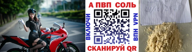 Alfa_PVP СК  hydra вход  Кингисепп 