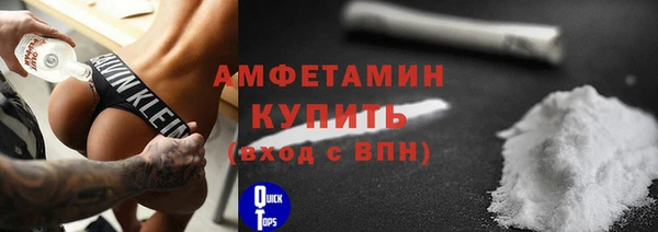 индика Киреевск