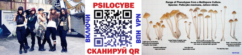 Галлюциногенные грибы Psilocybe  купить наркоту  Кингисепп 